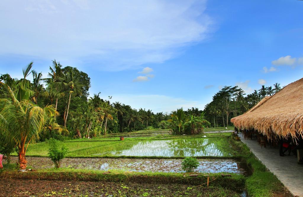 Sapulidi Resort Spa & Gallery Bali Ubud  Exterior photo