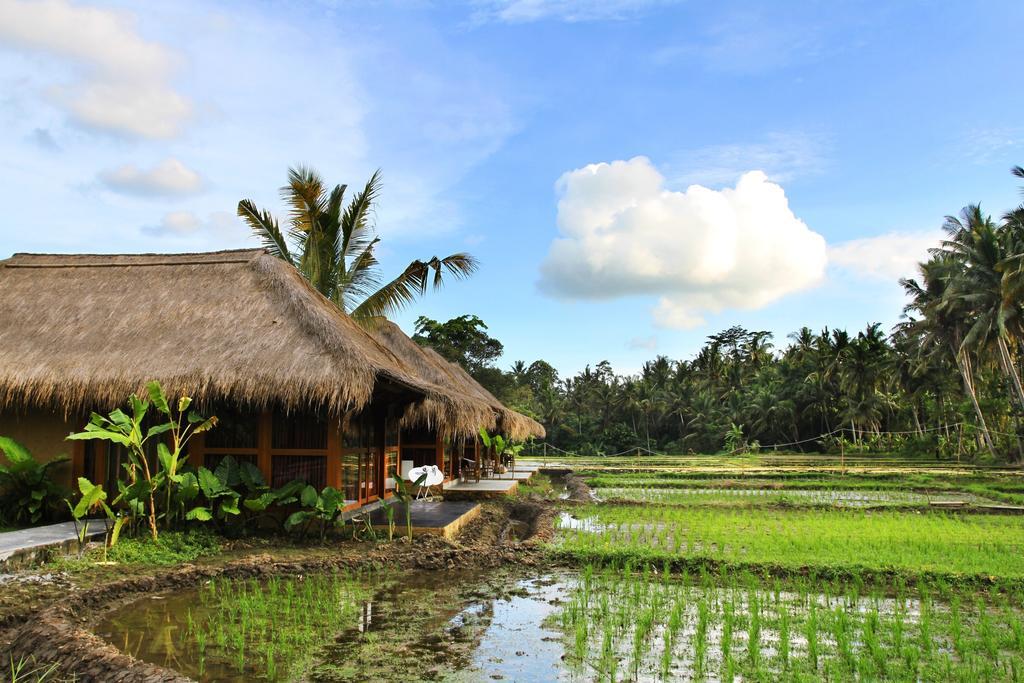 Sapulidi Resort Spa & Gallery Bali Ubud  Exterior photo