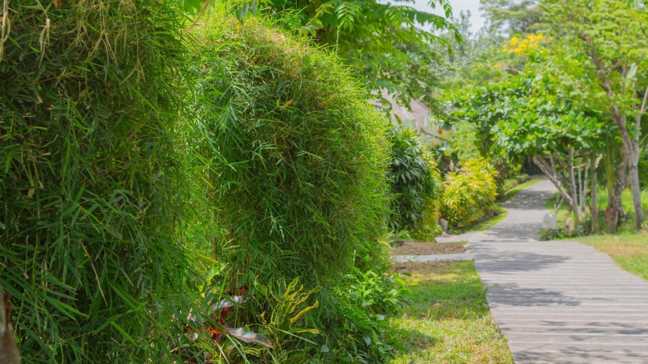 Sapulidi Resort Spa & Gallery Bali Ubud  Exterior photo